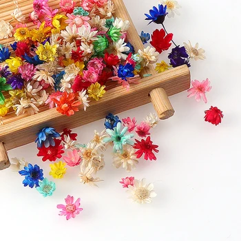 1/2g פרחים מיובשים כוכב קטן פרח DIY שרף אפוקסי ליצירת תכשיטים קישוט שרף מילוי עובש חומר עיצוב