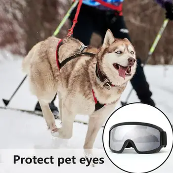 Fogproof הכלב משקפי שמש מתכוונן הכלב משקפי מגן לחיות מחמד Eyewear עמיד למים Windproof הכלב משקפי מגן עם ידידותי לסביבה