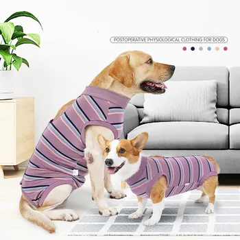 מחמד בגדים הכלב מודאלית סוודר פסים עיקור החליפה פיזיולוגיים חליפה עם שתן משטח מחמד פיג ' מה Homewear