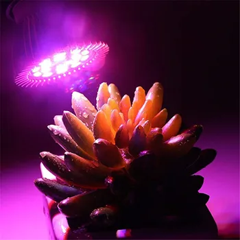 ספקטרום מלא SMD5730 18leds 28Led לגדול אור E27 צמח GrowLights הנורה גן הידרופוני המנורה מקורה הידרופוניקה פרחים