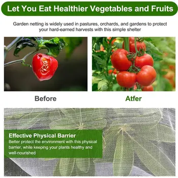 קל משקל ירקות הגנה נטו פוליאתילן PE רב תכליתי, מעשי גן רשת הדברה מחסום הגנה לכסות